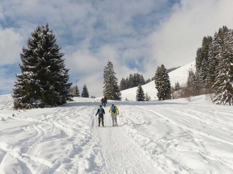 con le racchette da neve in val di sole 