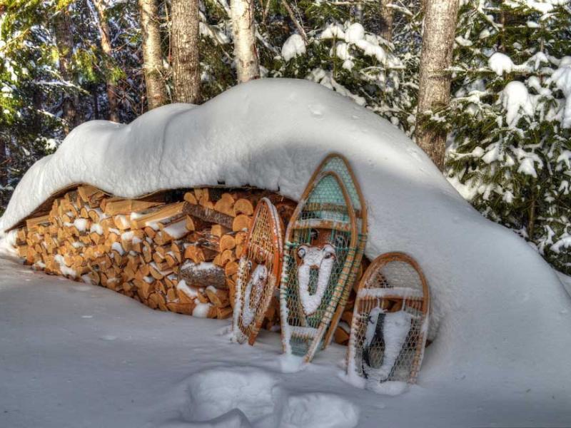 percorsi con le ciaspole in val di sole 