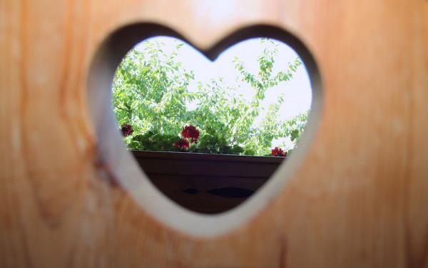 appartamenti-in-val-di-sole