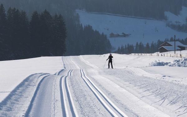 sci-di-fondo-in-val-di-sole