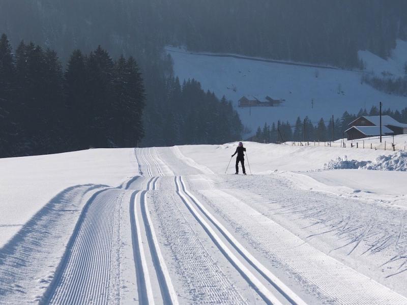 sci-di-fondo-in-val-di-sole